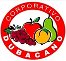 1baec5_01ed4d4710a342bd82d7b4cd56cf4bf6~mv2
